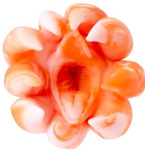 orange hole of a sex toy